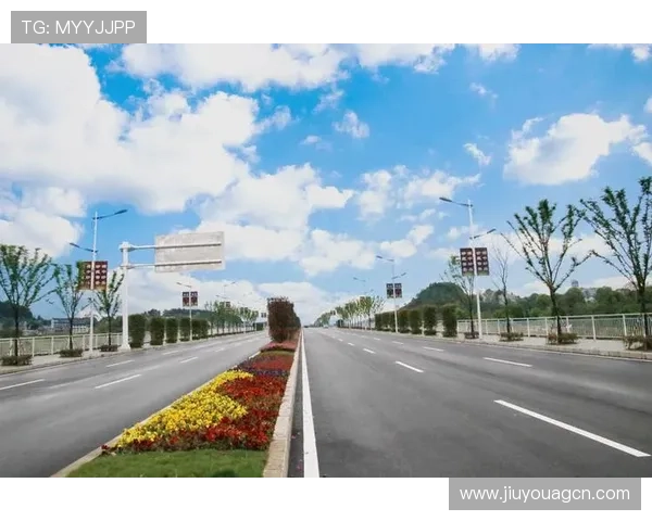 掌握凯发电游网址查询技巧确保每次登录都能顺利进入正规安全的游戏平台