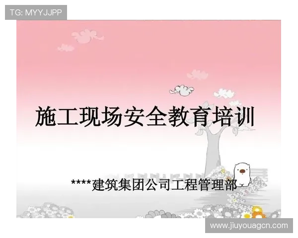爱游戏手机登录入口安全保障措施，确保你的账号信息安全无忧